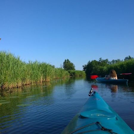 B&B De Zilverreiger Belt-Schutsloot Exterior photo